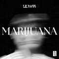 ********* (Explicit)