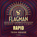 Rapid Tech House