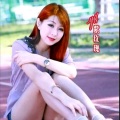 YH紫玫瑰 - 爱情难得几回醉