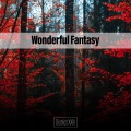 Wonderful Fantasy District XXIII