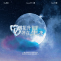 文子、忆夏-Ve - 烟花升停在星夜