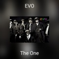 The One - EVO