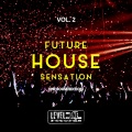 Frenk DJ - Keep Your Hands Up (feat. Lady Janet)(Federico Palma Remix)