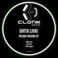 Ghita Liviu - Graur