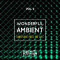 Wonderful Ambient, Vol. 2 (Dancefloor Picks For DJ's)