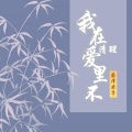 蔚泽君子 - 我在爱里不清醒