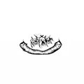 DNFJAY、Cherry Ills、John Onderlinde - E.N.D