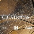 Cicatrices (feat. Evan$) [Explicit]