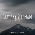 Ambient Rain: Gray Sky Serenade Vol. 2