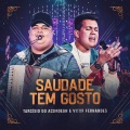 Saudade Tem Gosto (Ao Vivo)