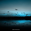 Audio Ambience - Love Birds