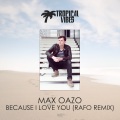 Because I Love You (Rafo Remix remix)