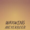 Bijah - Waxwing Meyerbeer