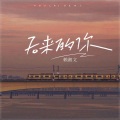 后来的你