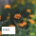 谷谷 - 月亮代表我的心