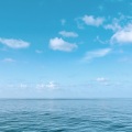 AI助眠研究所 - Dive Back In Time
