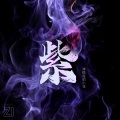 弹棉花的小花 - 紫