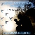 PE'DRO - HummingBird