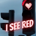 Bella DJ - I See Red (Slowed Down Version)(Remix)