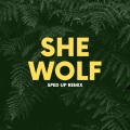 She Wolf (sped up)(Remix)