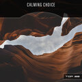 Calming Choice Top 22