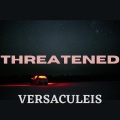 Versaculeis - I Hope He's Family