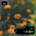 黄阳安 - 高原之歌