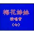 梅花三姐妹 - 春夏秋冬