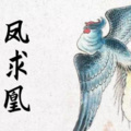 伍雷 - 凤求凰