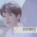 卫哥哥 - 镜中花水中月