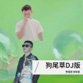张希曼、贾绪超 - 狗尾草
