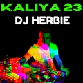 DJ Herbie - Kaliya 23