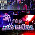 T.O.M. - Las Gatas
