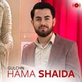 Hama Shaida - Dlldary Makan Bas Xama