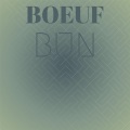 Avela Baset、Anai - Guardedly Tightlipped