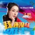 我还没红就过气 (DJEland小弟 remix)