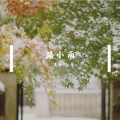 Moy - 路小雨
