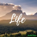 Gentle Giant - Life (Explicit)