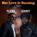 pliers、SeKret、Pickout All Star Band - Her Love Is Burning Remix
