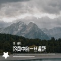 冷温柔 - 你的样子