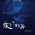 夜空下的海