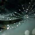 The Lagoon、Martha Boijou、Meril storm - Rainfall and remoteness