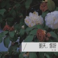 林一夏 - 明天,你好