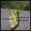 nullraum - blåhaj