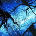 Calm Sleep Music