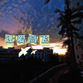 ROMAN - 让爱高飞