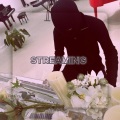 VodKe、花凯 - Streaming