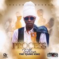 Teflon、Ireland Boss、Teflon Young King - Process