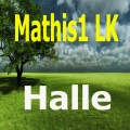 Mathis1 LK - Braun