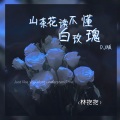 山茶花读不懂白玫瑰 (DJ版)